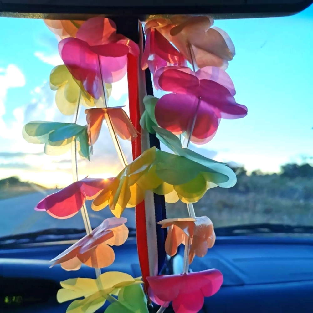 Meet your Posher, Eliana